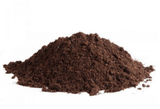 Peat moss